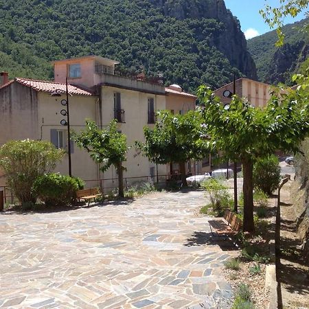 Ferienwohnung Pied A Terre Amélie-les-Bains-Palalda Exterior foto